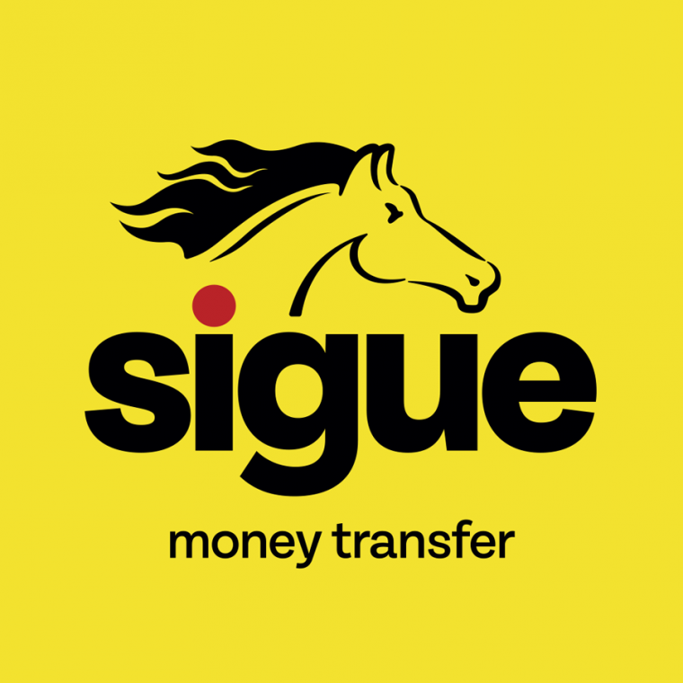 Sigue International Icon